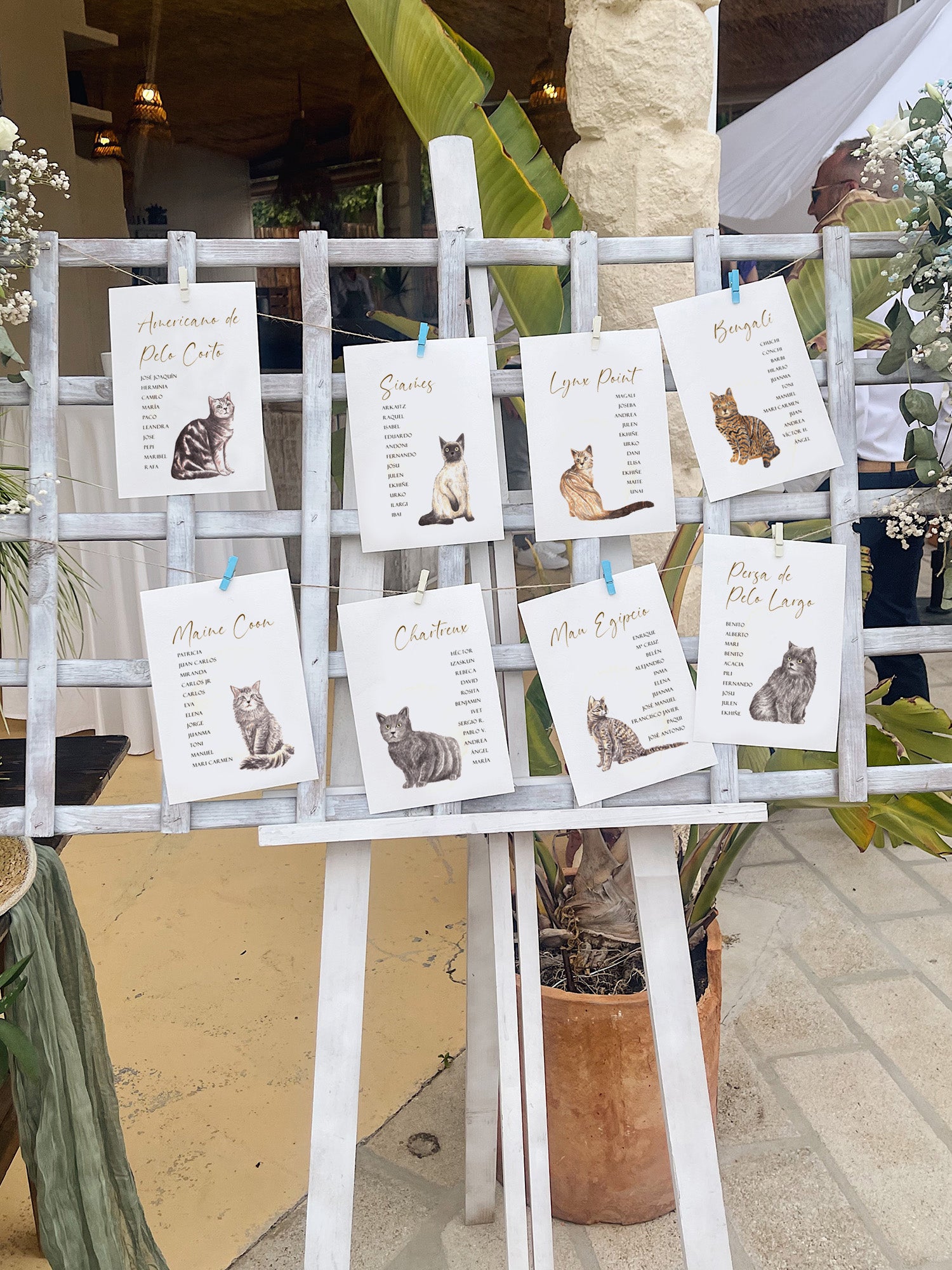 Meseros  de gatos en acuarela 