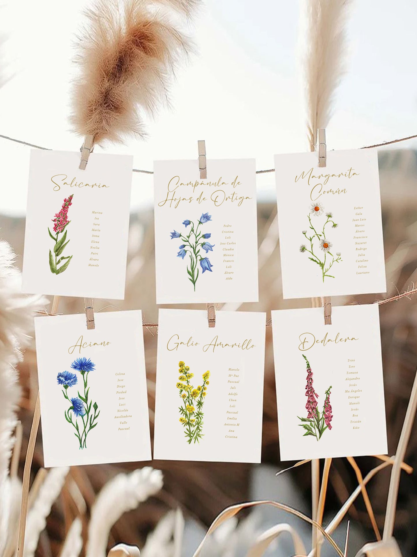 Seating plan flores en acuarela