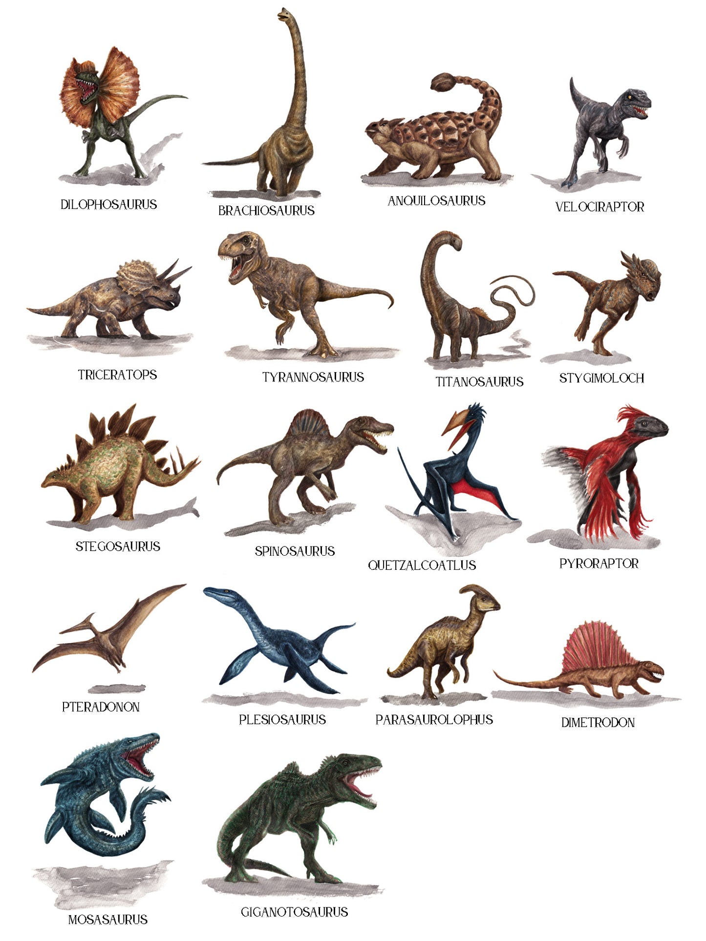 Seating Plan/Meseros Dinosaurio