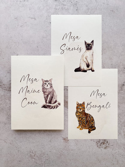 Meseros de gatos