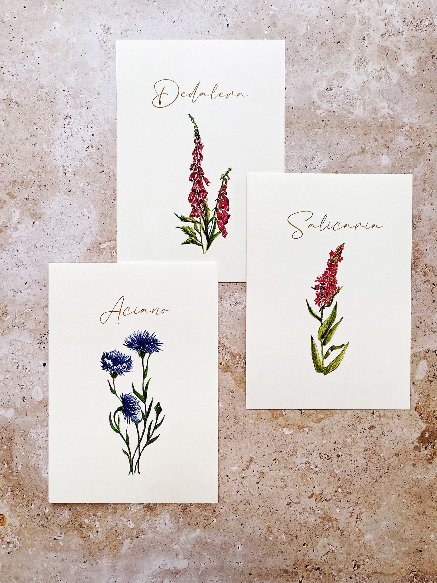 Meseros plantas y flores 