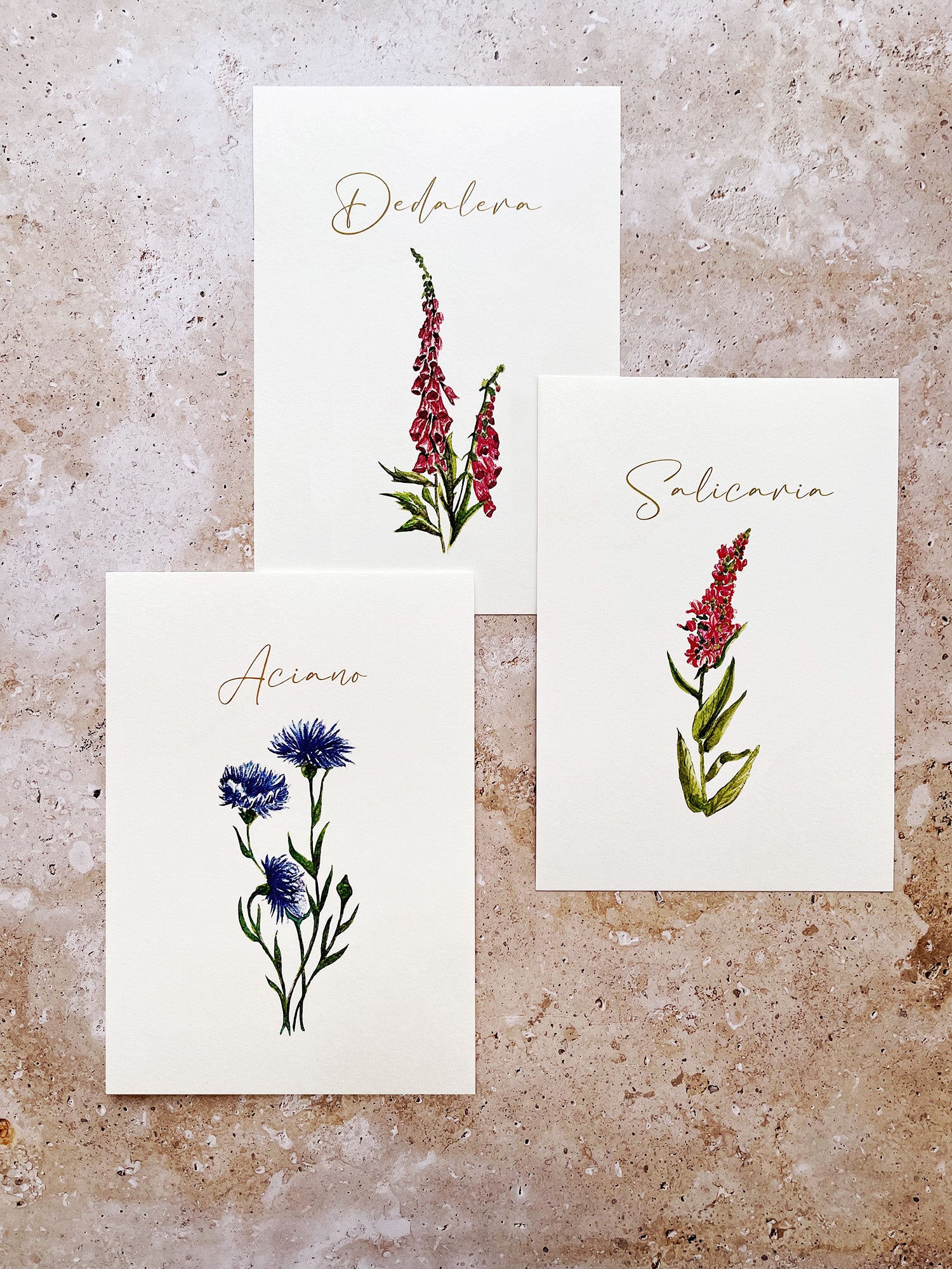 Meseros plantas y flores 