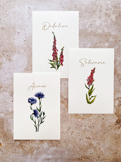 Meseros plantas y flores 