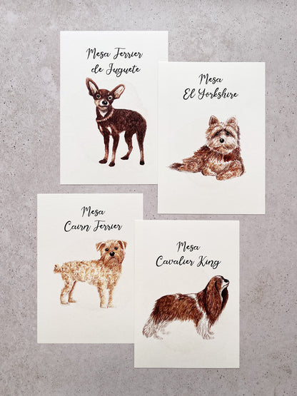 Meseros de perros