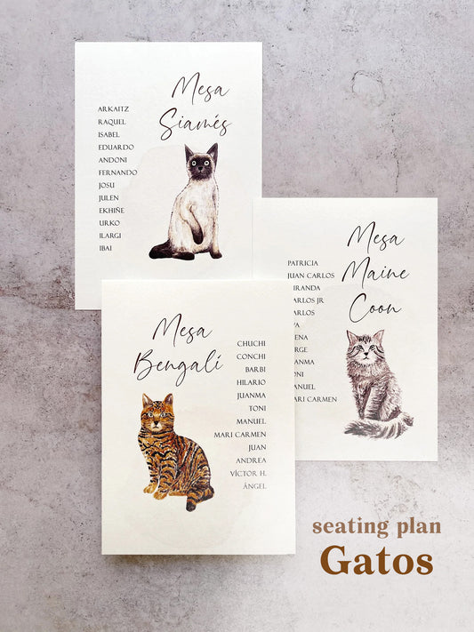 Seating Plan/Meseros Gatos