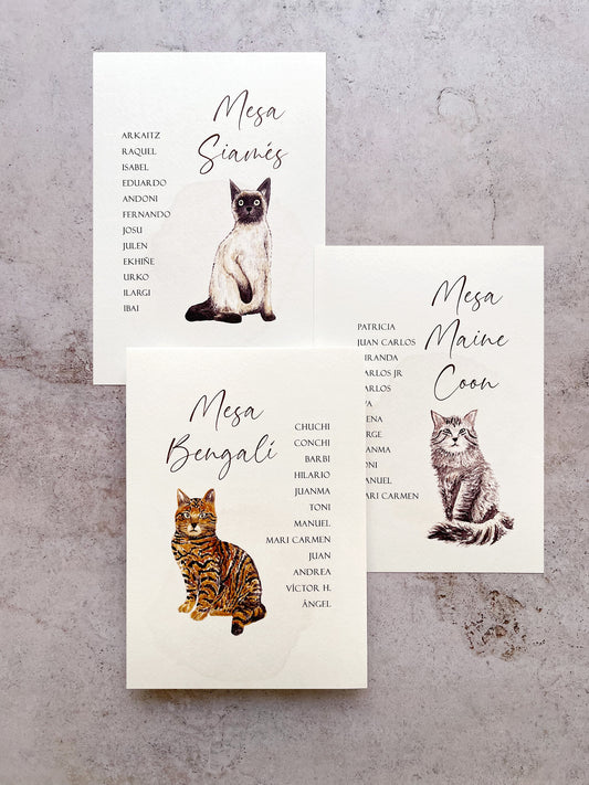 Seating plan de gatos