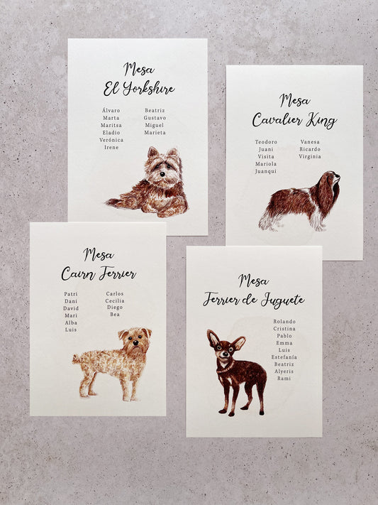 Seating plan de perros