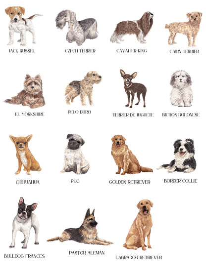 Seating Plan/Meseros Perro