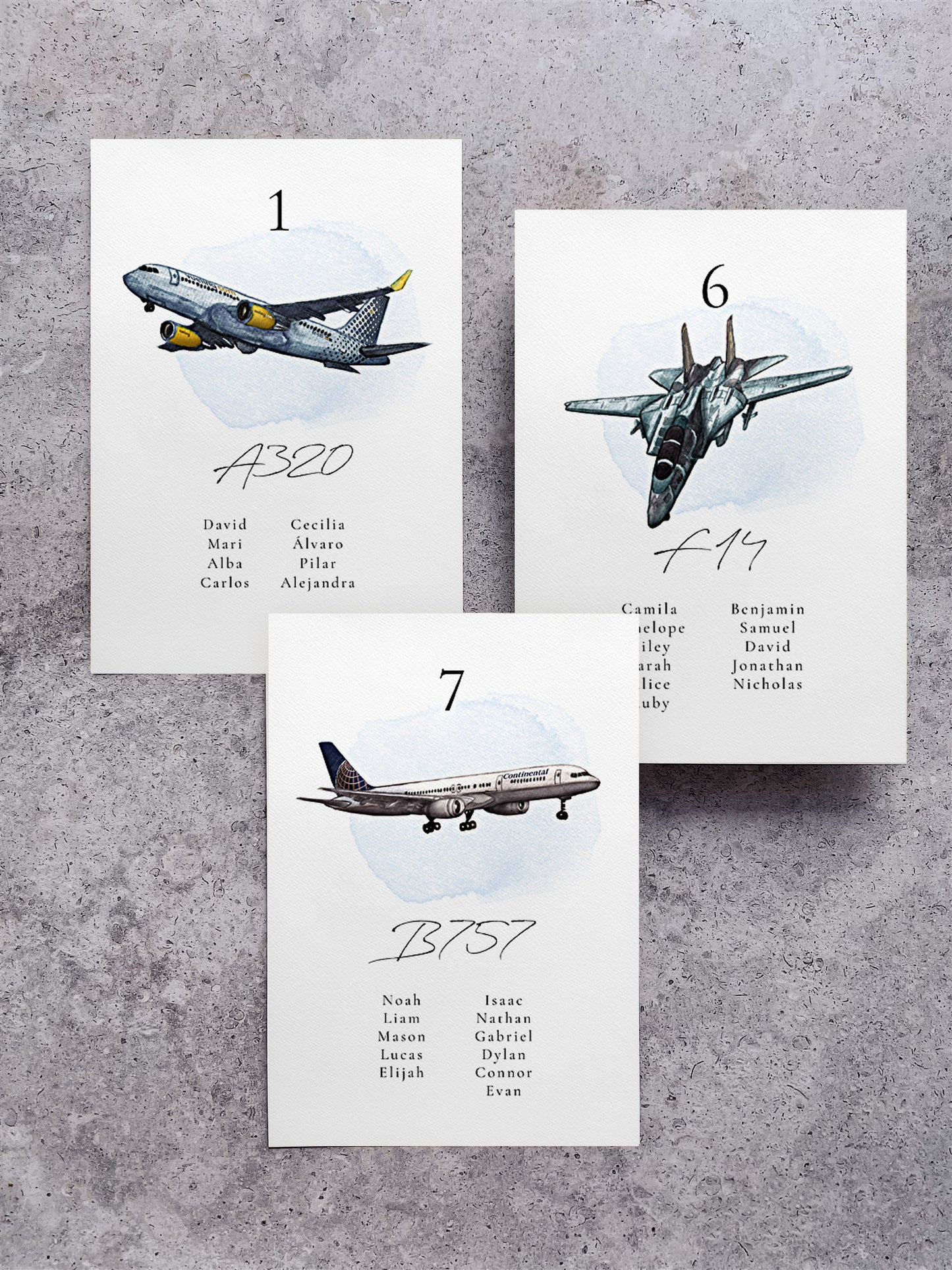 Seating Plan/Meseros Avión