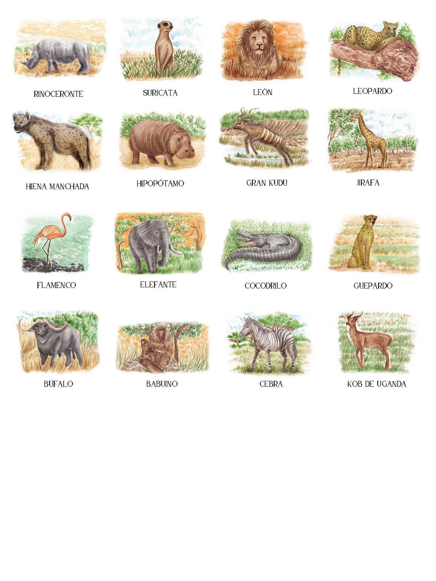Seating Plan/Meseros Safari